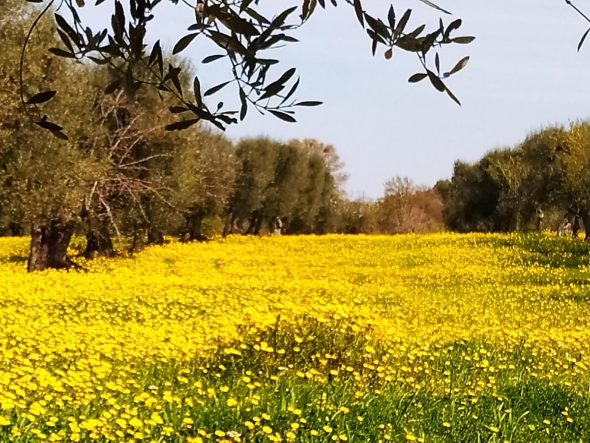 Masseria - Trulli Genius Loci Dimore モノーポリ エクステリア 写真